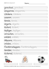 DSS_2S_Bu_er_Nr_01.pdf